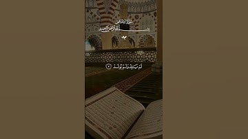 سورة الإخلاص القران الكريم #القرآن_الكريم #تلاوة_خاشعة