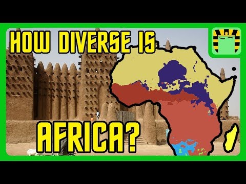 Afrika jamiyatida nasl guruhlari qanday rol o&#39;ynagan?