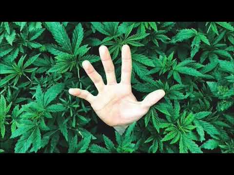 LMG ft ხვალე⁄Xvale    მწვანე მეომრები !! Gamoiweret arxi !!