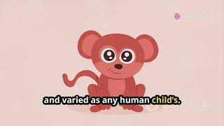 Exploring the Adorable World of Monkey Baby Bon Bon! Watch Now!
