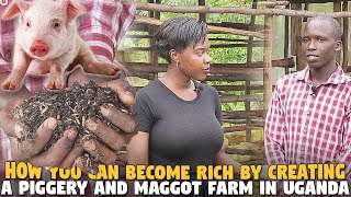 Here's How You Can Get Rich By Having a Piggery and a Maggot MIXED Farm In UGANDA!!