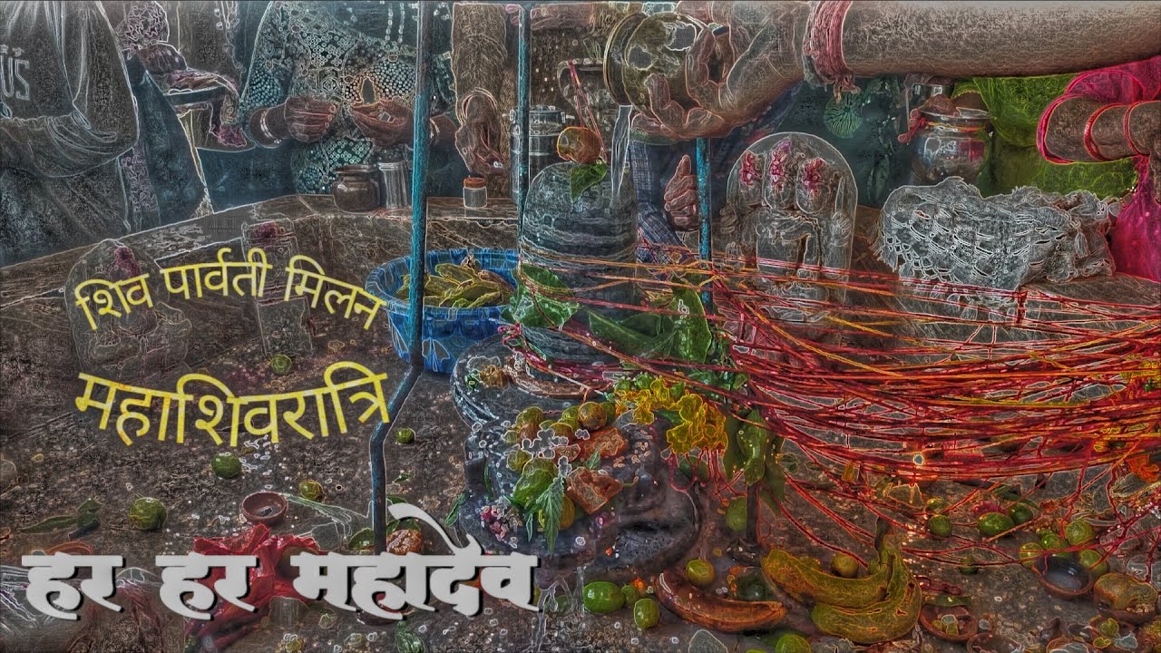 🙏 महाशिवरात्रि 2026 | भोलेनाथ की विशेष पूजा | शिव भक्ति में डूबा दिन🌺 🌸 महाशिवरात्रि स्पेशल | 🔱📿🐚🕉️