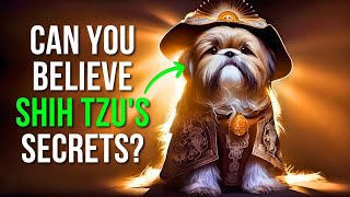 Top 10 Amazing Facts About Shih Tzu: #1 WILL SURPRISE YOU!
