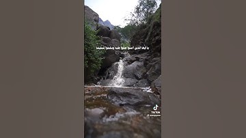 إن الله و ملائكته يصلون على النبي #القرآن_الكريم #المصحف #تلاوة_خاشعة #سورة_الأحزاب #يوم_الجمعة #ﷺ