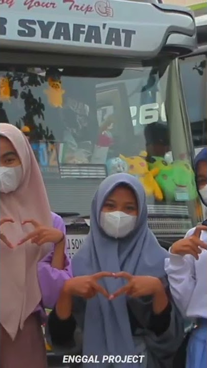 Story wa bus 30 detik || story wa ladies bis 30 detik #shortvideo  #shorts #free #story #busindo