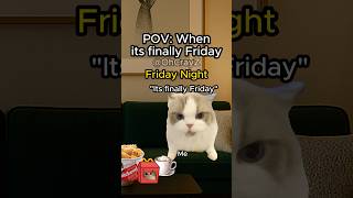CAT MEMES 🐱 WHEN IT’S FINALLY FRIDAY #relatable #cat #funny #memes #shorts