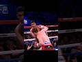 Canelo alvarez vs amir khan 🔥🔥🔥 #boxing #caneloalvarez #amirkhan #knockout