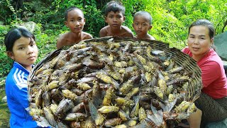 Mountain women found cicada to cook near the river & eat with kids