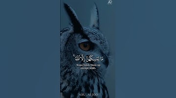 أكتب شيء تؤجر عليه ❤️ _ تلاوة رائعة من سورة النحل 🤍❤️ #youtube