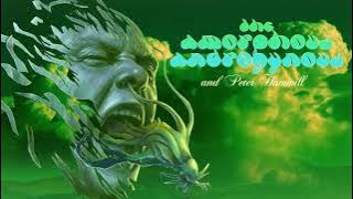 The Amorphous Androgynous & Peter Hammill - We Persuade Ourselves We Are Immortal