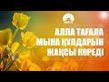 Алла Тағала мына құлдарын жақсы көреді / Руслан Байзақов