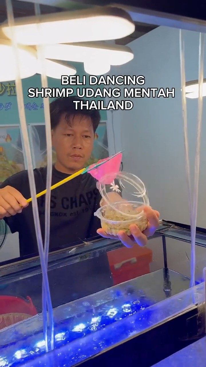 NGAKAK? COBAIN DANCING SHRIMP UDAH JOGET THAILAND