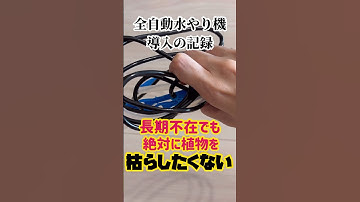 長期不在でも絶対に植物を枯らしたくないので全自動水やり機を導入してみた