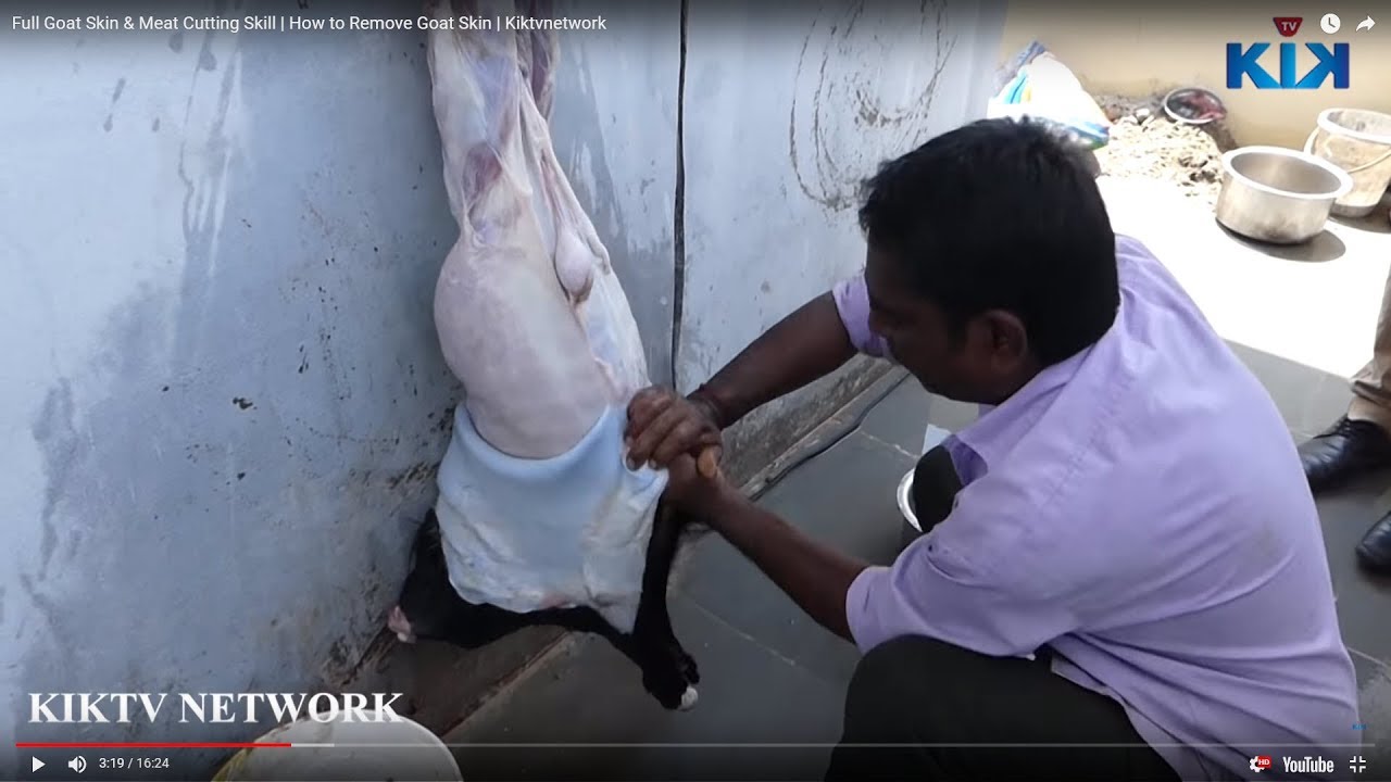 Full Goat Skin & Meat Cutting Skill | How to Remove Goat Skin | Kiktvnetwork | KikTV Network