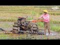 Gelebeg Traktor Sawah! Si Mbah Meratakan Bekas Panen Padi Pakai Gelebeg Dengan Sangat Cepat