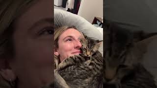 If you also have a clingy cat. You must be the richest person in the world ✨✨