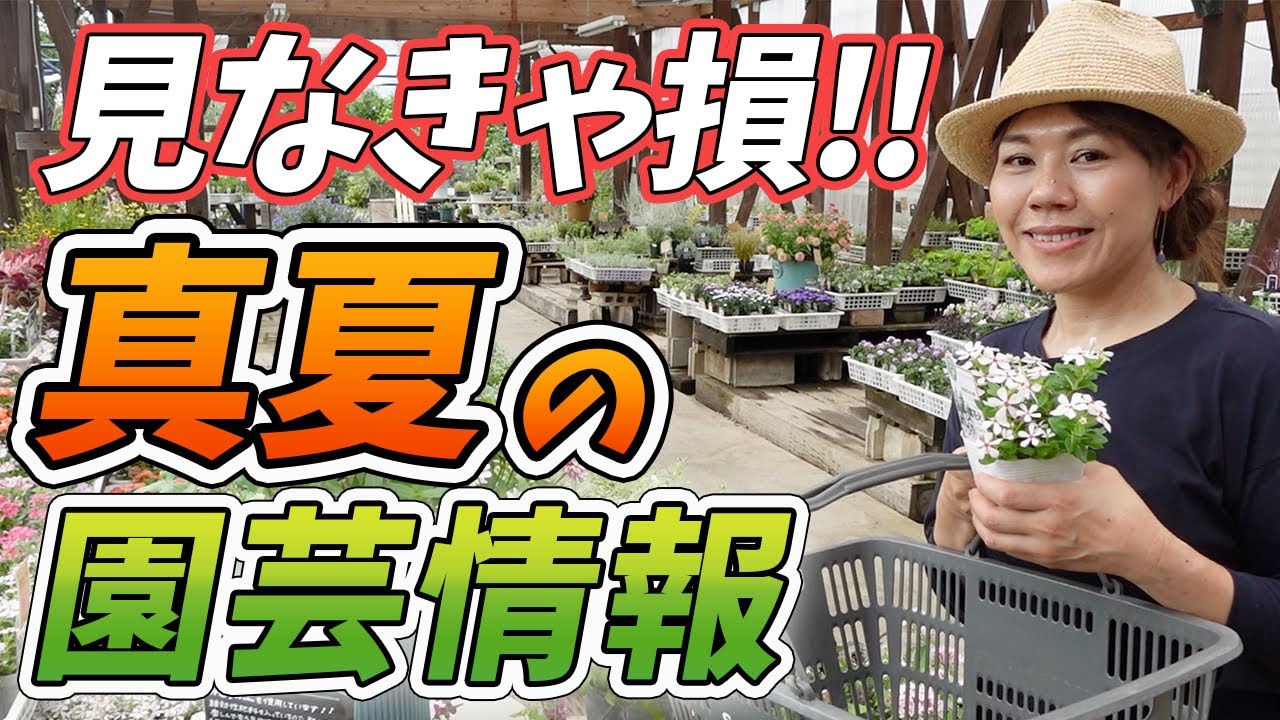 ガーデニア様✤おまとめ Summer Update] Introducing the best deals on gardening for August