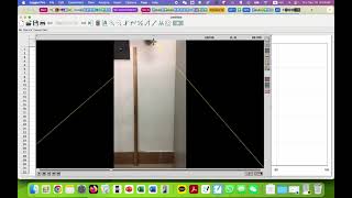 Celebrity Video Analysis with Logger Pro Profile