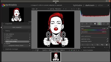 Install darktable v3.0.1 in Ubuntu 18.04/19.10 2020