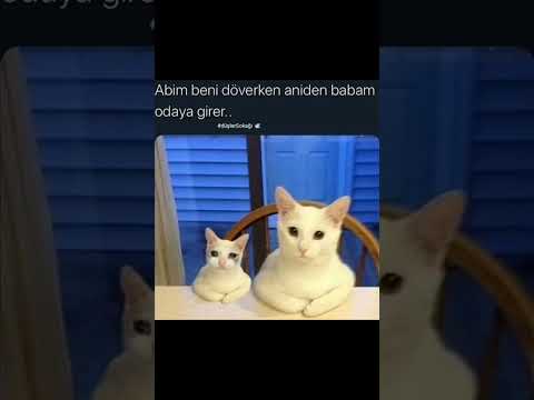 Komik Videolar Serisi #1 #komik