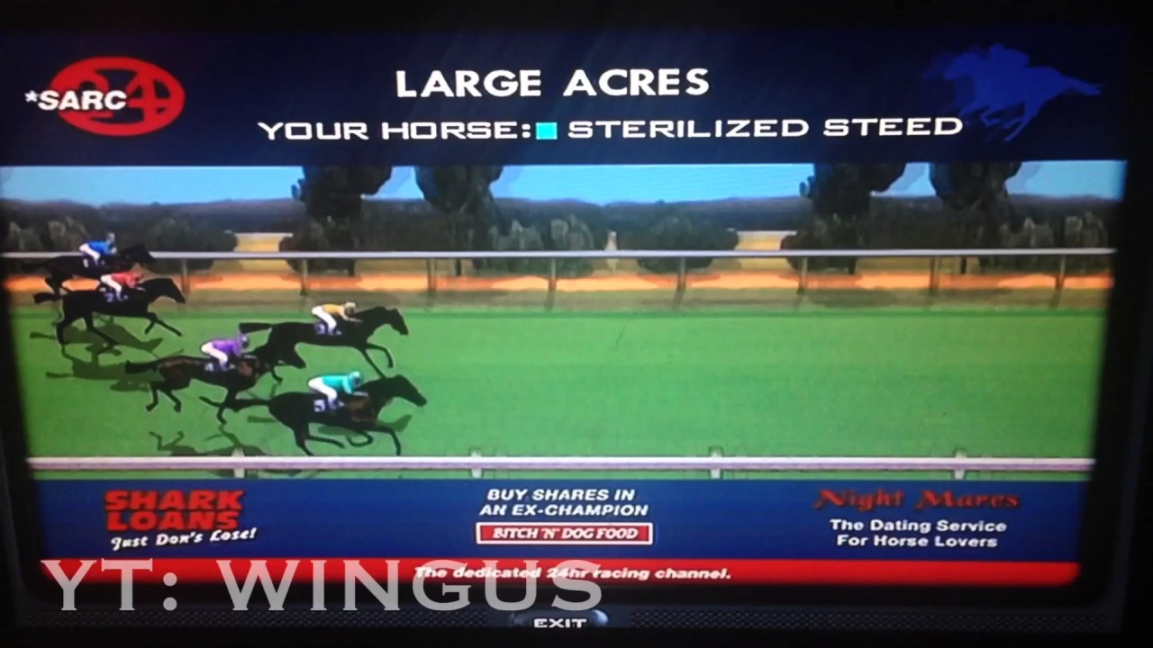 Guy WINS 60 MILLION At Horse Race Betting Track In GTA San Andreas 