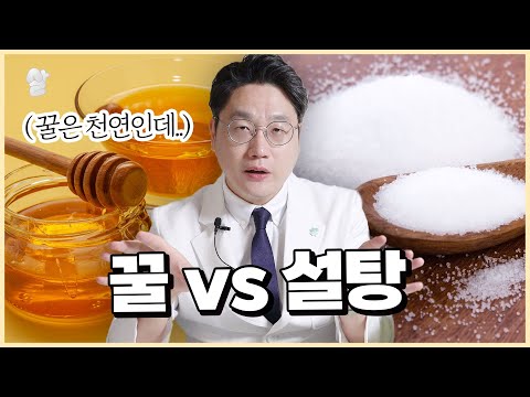 유튜브 미리보기