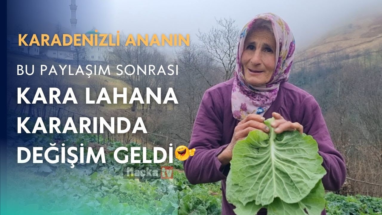 Annemin Bu paylaşımından sonra lahana kararında değişim..!🙂