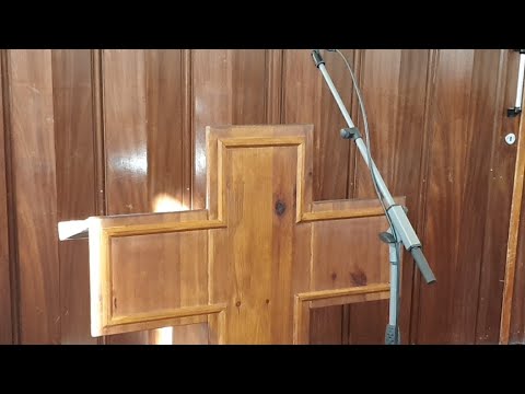 Previzualizare video