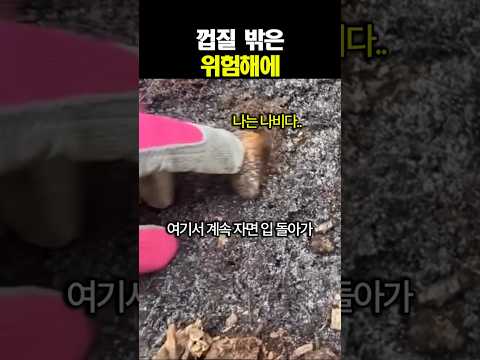5분만 더..ㅋㅋ thumbnail
