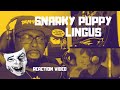 Singer and Producer Reacts To: Snarky Puppy- Lingus-(We Like It Here) REACTION VIDEO