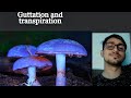 Guttation And Transpiration For Class 8-12