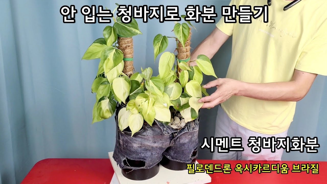 청바지 화분 만들기 꿀팁 공개! 🌿 How to Make Jeans Flower Pots