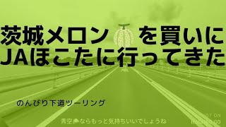 【7】茨城産メロン