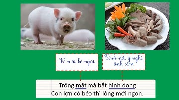 Lớp 4 -  Môn LTVC -  Bài MRVT CÁI ĐẸP -  Tuần 23 -  Tiết 2