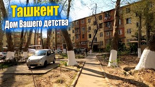 Чиланзар 6 кв-л, т.Оперетты, Алгоритм.Ташкент Дом Вашего детства. #узбекистан #ташкент #дом #сегодня