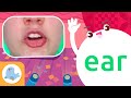 Learning with Ear