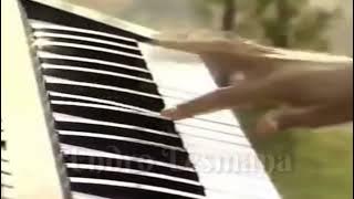 Instrumental sholawat badar by NASIDA RIA