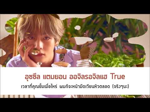 THAISUB︱BTS (방탄소년단) - 보조개 (dimple)“Illegal” ︱Vocal Team.︱บีทีเอส. ลักยิ้ม