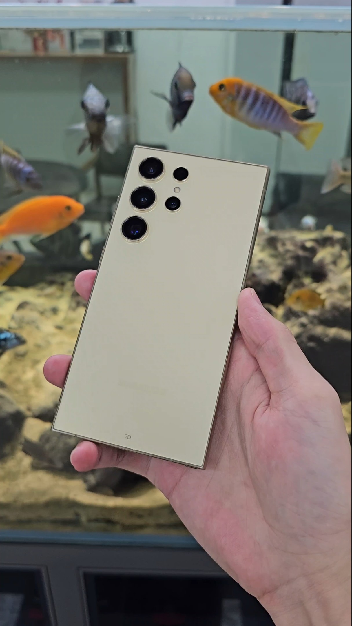 Samsung mobile phone's all-object tracking focus allows you to capture clearer photos! Samsung