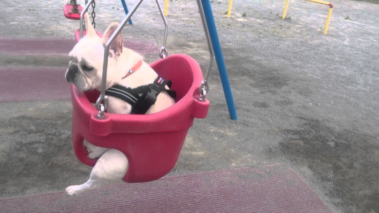 Archives 15年06月 祭と巫女劇場