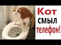 Лютые приколы. КОТ СМЫЛ ТЕЛЕФОН! СМЕШНЫЕ КОТЫ! РЖАКА ДО СЛЁЗ - Domi Show