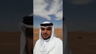 سعيد الطنيجي.  شعر. قصائد. بوح. الذيد. ناصر الفراعنة. ياسر التويجري. حمد البريدي. العين. ابن الذيب