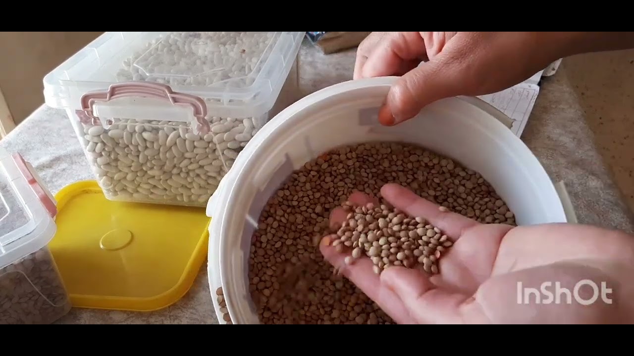 مشترياتي لبيت الخزين من البقوليات 🌸عولة الشتاء