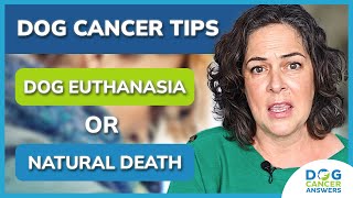 Dog Cancer Tip: Dog Euthanasia or Natural Death? | Molly Jacobson