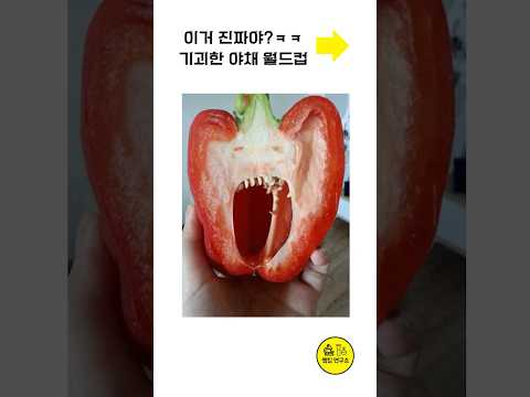 역대급 기괴한 야채 월드컵ㅋㅋ #shorts