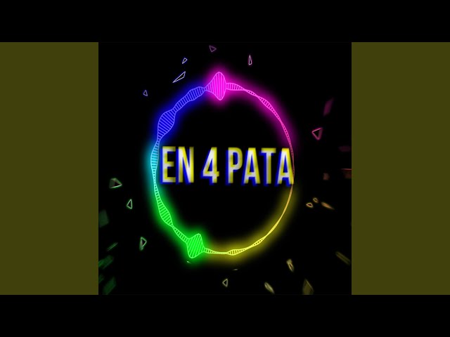 en 4 pata rkt