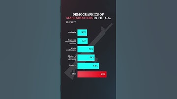 Who commits the mass shootings?