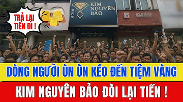 Giá Vàng Hôm Nay: Dòng Người Ùn Ùn Đến Tiệm Kim Nguyên Bảo Đòi Lại Tiền – Điều Gì Đang Xảy Ra?