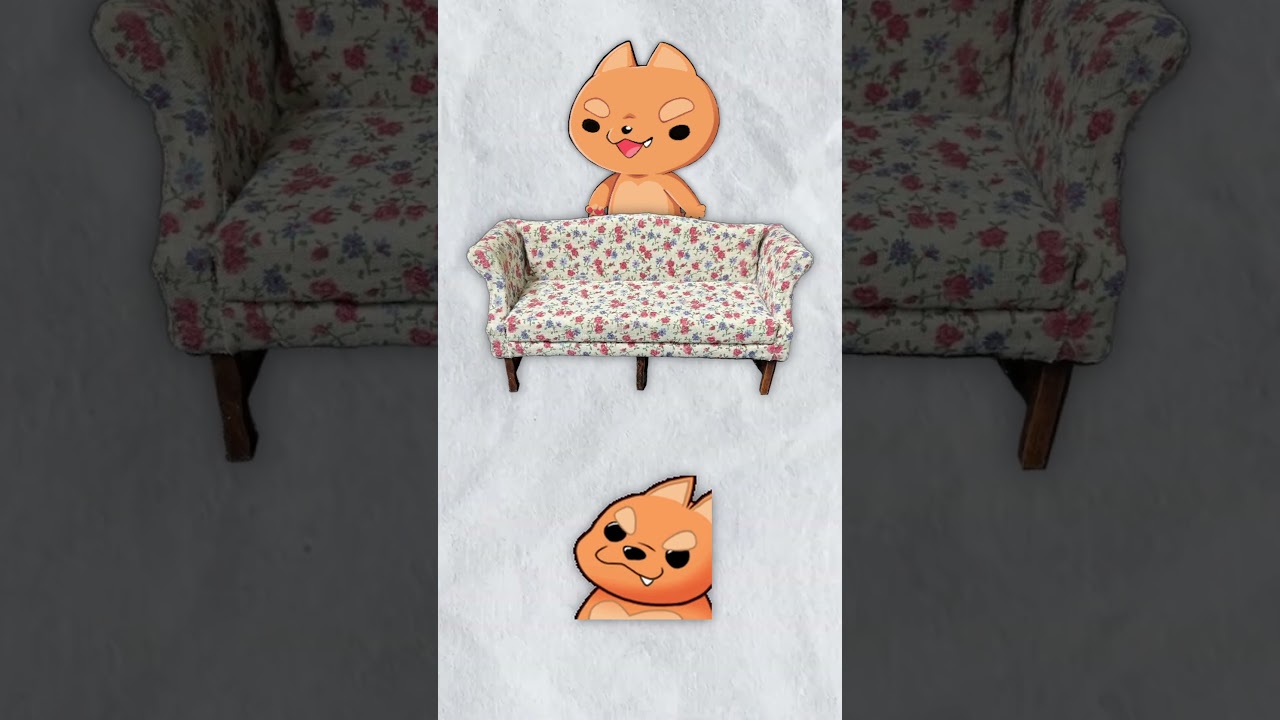 I Think Chat Just Wants To Sit On Me 🛋️