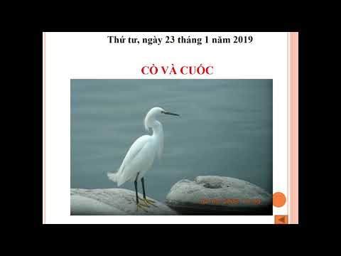 Tập đọc 2 - Bài: Cò và Cuốc